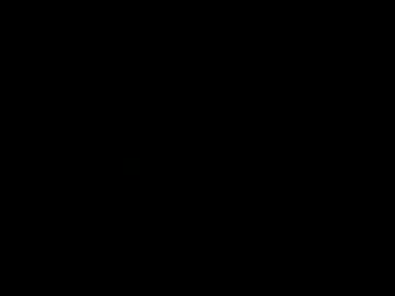 avallanchee